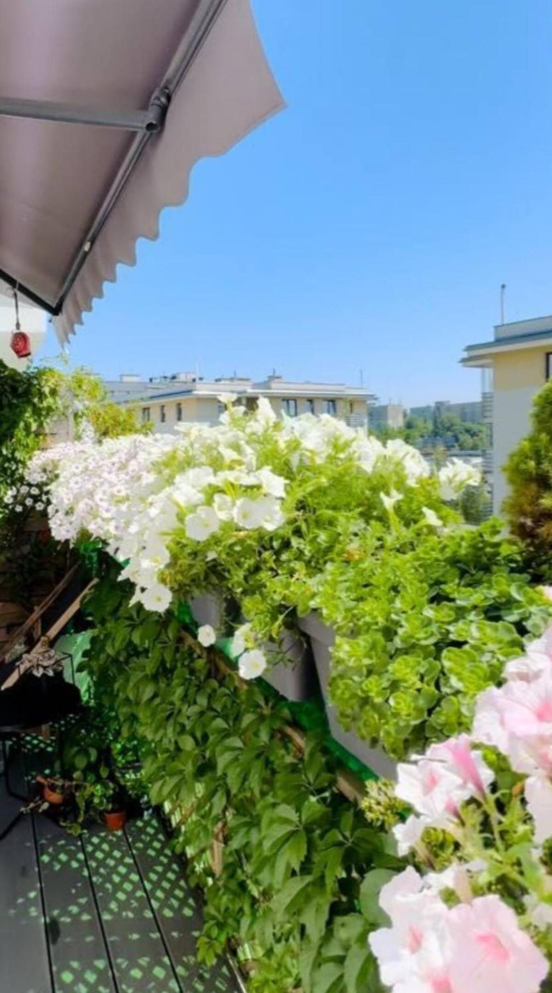 ורשה Shiraz Trio Apartament מראה חיצוני תמונה